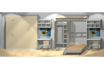 Шкаф-кровать детская в Солнечном - solnechnyj.mebel54.com | фото